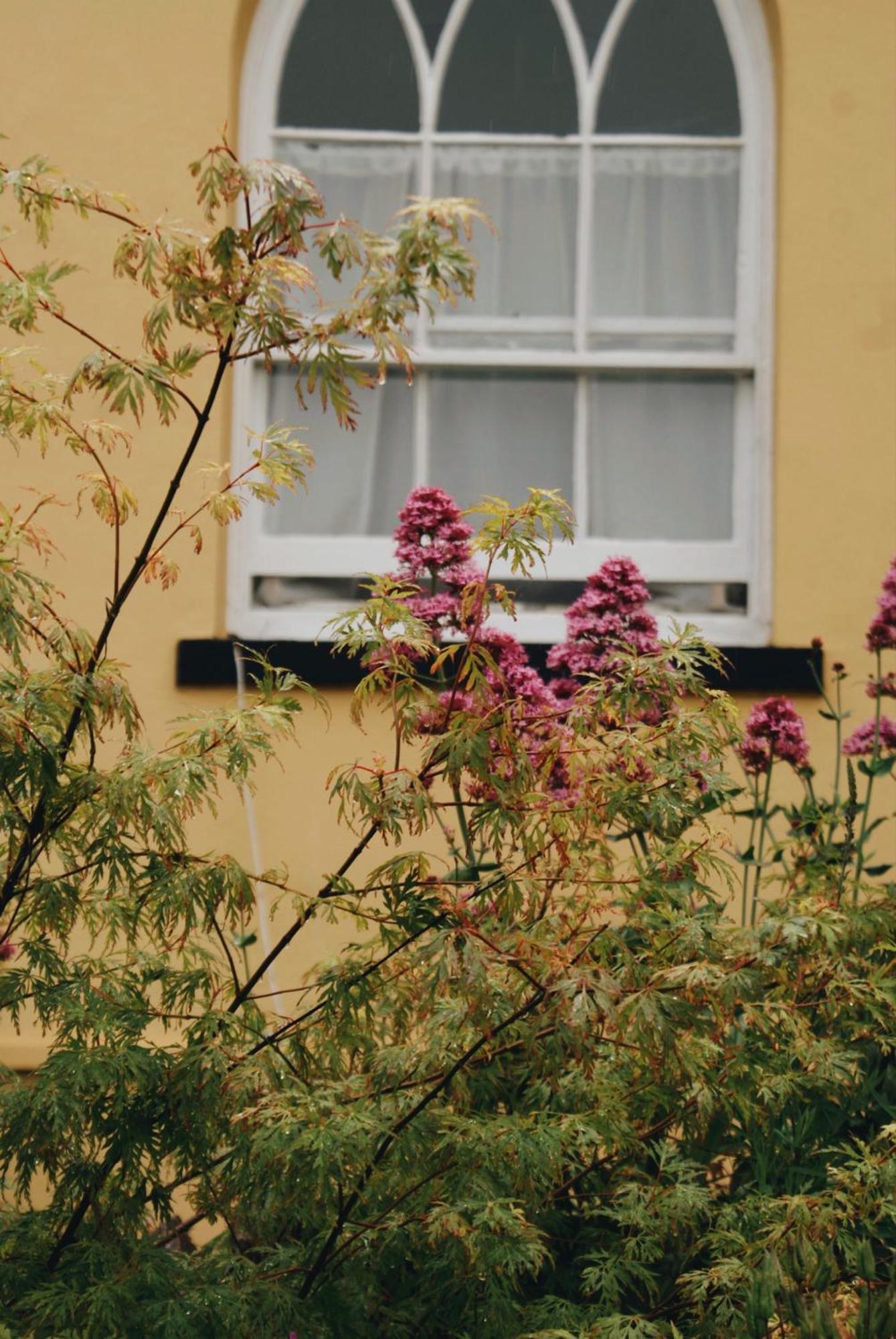 Bed and Breakfast Ranscombe House Paraná Exterior foto